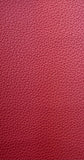 SoftLine Automotive Vinyl