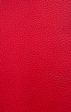 SoftLine Automotive Vinyl