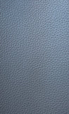 SoftLine Automotive Vinyl